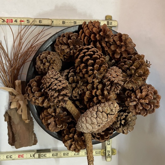 ❗5 For $2️⃣5️⃣ Bundle Sale❗️ Natural Source Pine Cones ~ Bag of 24 for Crafting - Picture 8 of 10